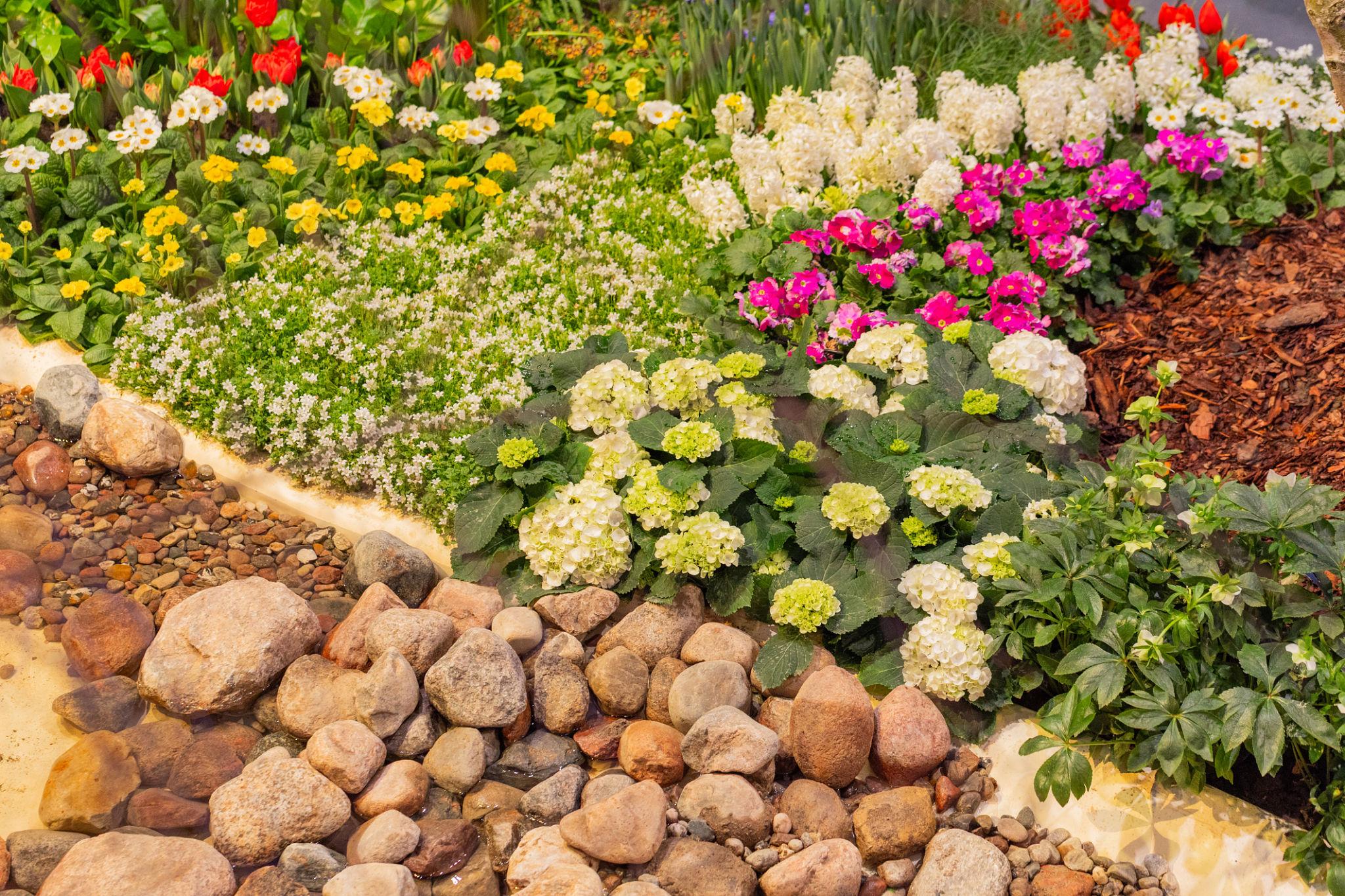 Colorful flower bed with stone edging